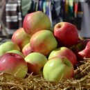 화이트치과의원 이미지