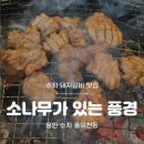 소나무풍경 - 유성구 엑스포로 488 | 풍덕천동 수지외식타운 돼지갈비 맛집, 가족외식으로 꾸준히 찾는 소나무가 있는 풍경 내돈내산 솔직후기