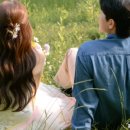 🕊W1. 제주 야외스냅 / 두시의동화 예약방법, 계약 후기