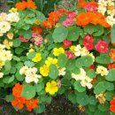 사진마당 이미지