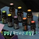 원테라피 이미지