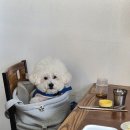 조천국밥앤면사무소
