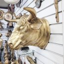 황소카인테리어 이미지