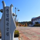 국화축제 정원 '익산 중앙체육공원' 이미지