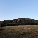 물영아리오름 이미지