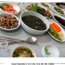 통영회센터 Daum카페