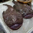 대일모텔 이미지