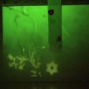 순천댄스문화센터 이미지