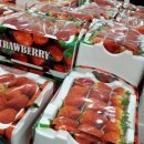 이마트트레이더스연산점 이미지