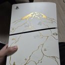 윈윈PC(인-467호) | 플레이 스테이션 5 잡설 : PS5, 포탈 사용 후기