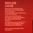 맑고푸른공동체협동조합 | [지리걸의 세계지리 답사] ep.5 🇫🇷 선명함의 정도