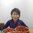 미라농원 이미지