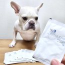 이노인터내셔날 이미지