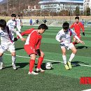 합천공설운동장 축구장 이미지