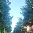 금정체육공원_축구장 이미지