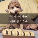 댕스베리 | 대구 수제간식 전문점 댕스투유 꼬미가 개만족한 앙버터 다쿠아즈 원데이클래스 후기