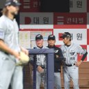 단단 이미지