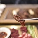 대응목장 이미지