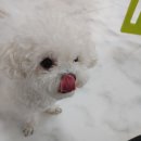 킹스유치원 이미지