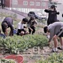 대월중학교 이미지