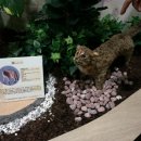 주왕산공원 탐방안내소 이미지