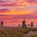 [생태탐방] 소래포구 이미지