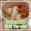 더(The)싼 아이스크림 | [싱가포르 핫플] 줄 서서 먹는 요거트 아이스크림 웨이팅 없이 먹기 / 호주에서 온 요치 Yo-chi yochi