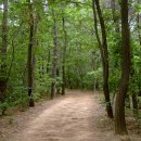 구봉산근린공원 이미지