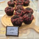 청송 | [경북/청송] 소노벨 청송 양식당 &#39;빠띠오&#39; &amp; 카페 후기