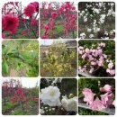 명자농장 이미지