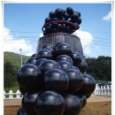 포도향이흐르는마을 이미지