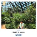 숲이랑아이랑유치원 | 남해 여행 독일마을 근처 아이랑 실내 가볼 만한 곳 남해힐링숲타운