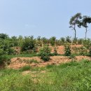 광천리 마을회관 이미지