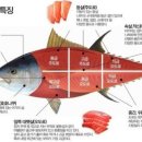 오복상회 이미지