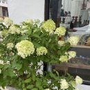 예술빨래방 이미지