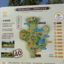 영산빌딩 | '26.03 아이랑 우시 벚꽃 여행 2편 - 우시 영산대불