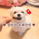 댕냥점빵 네이버블로그