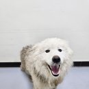 온양온천초등학교 이미지