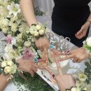 구룡스테이 이미지