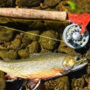 (주)위플라이 이미지