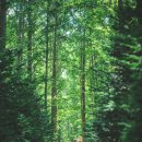 영덕관광안내소 이미지