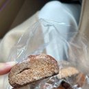 오델리스 이미지