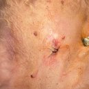 여울동물병원 이미지