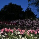 카페인중독 부천도당점 이미지