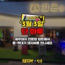 돝