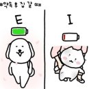 요거트가족 이미지