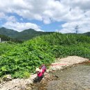 CU수동입석점 | 남양주 물동네힐링캠프 장소후기