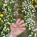느보네일스튜디오