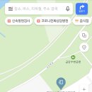 세종우체국 보행교 북측 네이버블로그