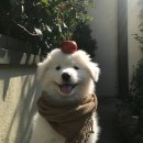 아신대학교 | 끝내주는 방학을 즐기는 예비대학생의 늦은 입시 후기